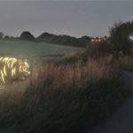 Interactive animals light up school path